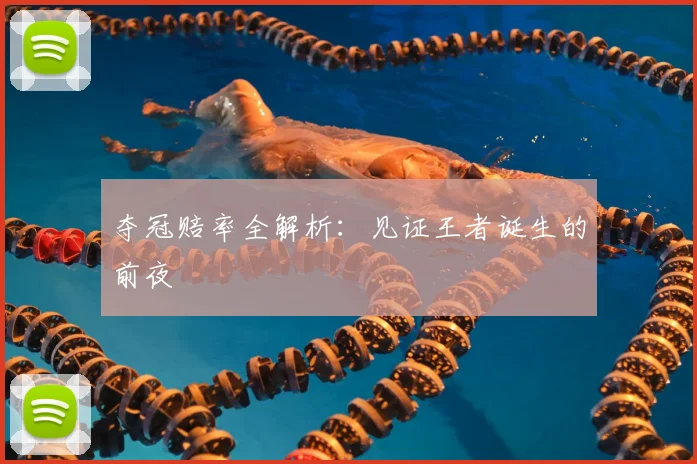 夺冠赔率全解析：见证王者诞生的前夜