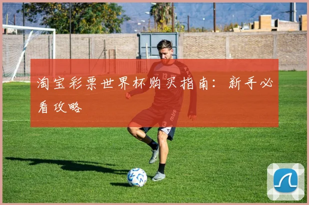 淘宝彩票世界杯购买指南：新手必看攻略