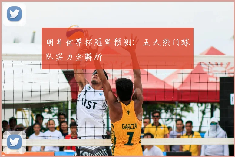 明年世界杯冠军预测:五大热门球队实力全解析